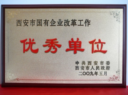 2009年5月，被西安市委、市政府評為西安市國企業(yè)改革工作優(yōu)秀單位