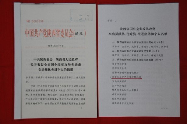 2009年2月，被陜西省委、省政府授予陜西省國有企業(yè)改革攻堅先進集體